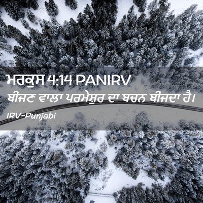 Picture 02 - ਮਰਕੁਸ 4:14 PANIRV - ਬੀਜਣ ਵਾਲਾ - Bible Verse Picture