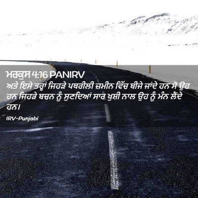 Picture 02 - ਮਰਕੁਸ 4:16 PANIRV - ਅਤੇ ਇਸੇ ਤਰ੍ਹਾਂ - Bible Verse Picture
