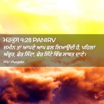 Picture 02 - ਮਰਕੁਸ 4:28 PANIRV - ਜ਼ਮੀਨ ਤਾਂ ਆਪਣੇ ਆਪ - Bible Verse Picture