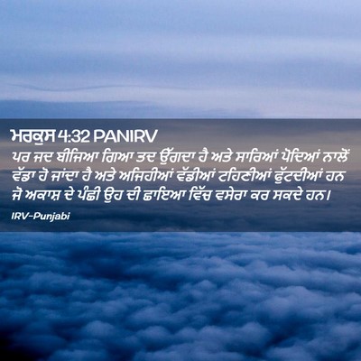 Picture 02 - ਮਰਕੁਸ 4:32 PANIRV - ਪਰ ਜਦ ਬੀਜਿਆ ਗਿਆ ਤਦ - Bible Verse Picture