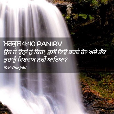 Picture 02 - ਮਰਕੁਸ 4:40 PANIRV - ਉਸ ਨੇ ਉਨ੍ਹਾਂ ਨੂੰ - Bible Verse Picture