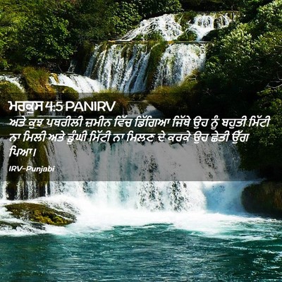Picture 02 - ਮਰਕੁਸ 4:5 PANIRV - ਅਤੇ ਕੁਝ ਪਥਰੀਲੀ - Bible Verse Picture