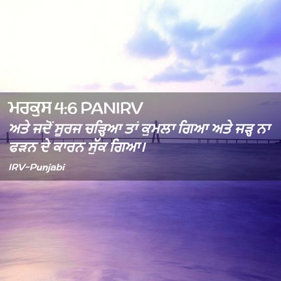Picture 02 - ਮਰਕੁਸ 4:6 PANIRV - ਅਤੇ ਜਦੋਂ ਸੂਰਜ - Bible Verse Picture
