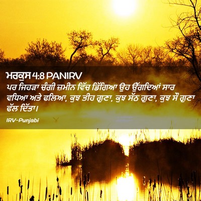 Picture 02 - ਮਰਕੁਸ 4:8 PANIRV - ਪਰ ਜਿਹੜਾ ਚੰਗੀ - Bible Verse Picture