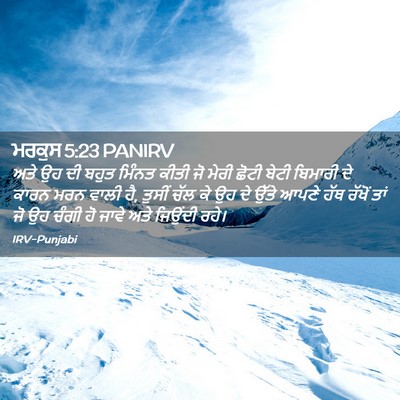 Picture 02 - ਮਰਕੁਸ 5:23 PANIRV - ਅਤੇ ਉਹ ਦੀ ਬਹੁਤ - Bible Verse Picture