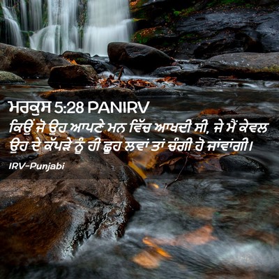 Picture 02 - ਮਰਕੁਸ 5:28 PANIRV - ਕਿਉਂ ਜੋ ਉਹ ਆਪਣੇ ਮਨ - Bible Verse Picture