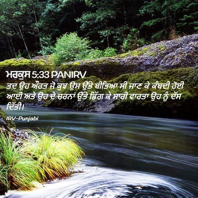 Picture 02 - ਮਰਕੁਸ 5:33 PANIRV - ਤਦ ਉਹ ਔਰਤ ਜੋ ਕੁਝ ਉਸ - Bible Verse Picture