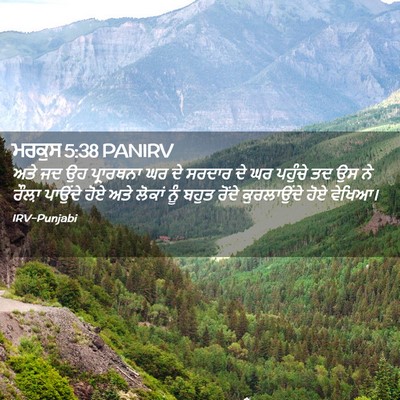 Picture 02 - ਮਰਕੁਸ 5:38 PANIRV - ਅਤੇ ਜਦ ਉਹ ਪ੍ਰਾਰਥਨਾ - Bible Verse Picture