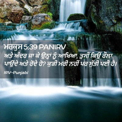 Picture 02 - ਮਰਕੁਸ 5:39 PANIRV - ਅਤੇ ਅੰਦਰ ਜਾ ਕੇ - Bible Verse Picture