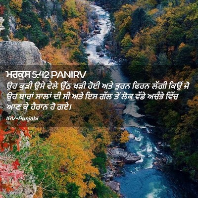Picture 02 - ਮਰਕੁਸ 5:42 PANIRV - ਉਹ ਕੁੜੀ ਉਸੇ ਵੇਲੇ - Bible Verse Picture