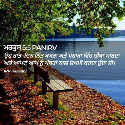 Picture 02 - ਮਰਕੁਸ 5:5 PANIRV - ਉਹ ਰਾਤ-ਦਿਨ ਨਿੱਤ - Bible Verse Picture