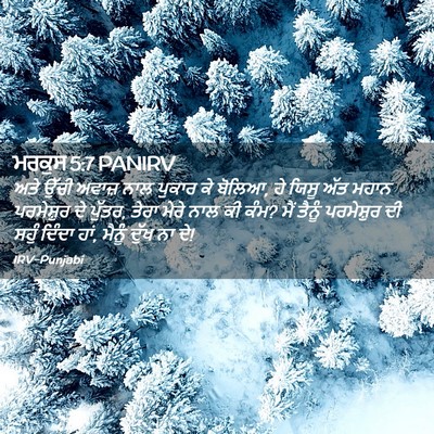 Picture 02 - ਮਰਕੁਸ 5:7 PANIRV - ਅਤੇ ਉੱਚੀ ਅਵਾਜ਼ ਨਾਲ - Bible Verse Picture