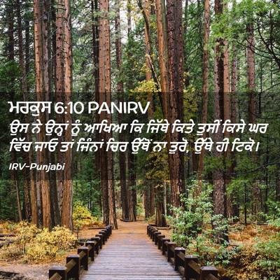 Picture 02 - ਮਰਕੁਸ 6:10 PANIRV - ਉਸ ਨੇ ਉਨ੍ਹਾਂ ਨੂੰ - Bible Verse Picture