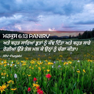Picture 02 - ਮਰਕੁਸ 6:13 PANIRV - ਅਤੇ ਬਹੁਤ ਸਾਰਿਆਂ - Bible Verse Picture