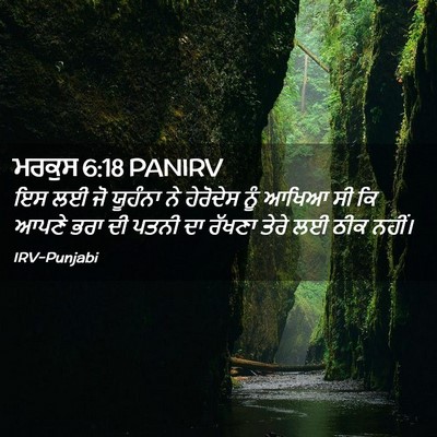 Picture 02 - ਮਰਕੁਸ 6:18 PANIRV - ਇਸ ਲਈ ਜੋ ਯੂਹੰਨਾ ਨੇ - Bible Verse Picture