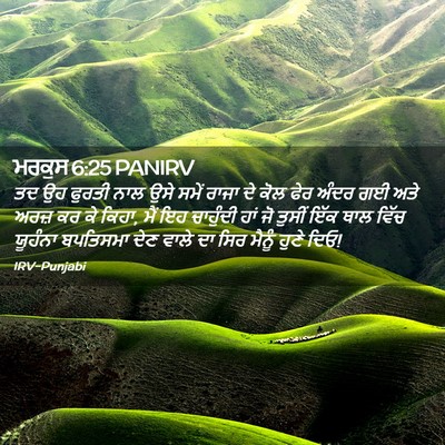 Picture 02 - ਮਰਕੁਸ 6:25 PANIRV - ਤਦ ਉਹ ਫੁਰਤੀ ਨਾਲ ਉਸੇ - Bible Verse Picture