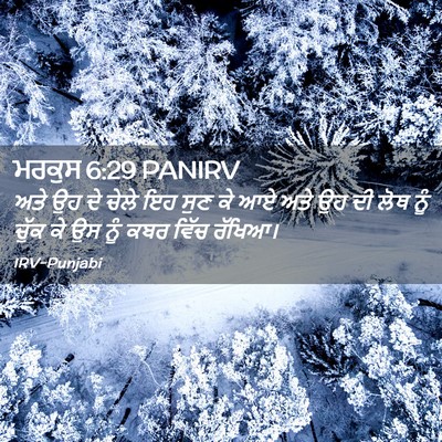 Picture 02 - ਮਰਕੁਸ 6:29 PANIRV - ਅਤੇ ਉਹ ਦੇ ਚੇਲੇ ਇਹ - Bible Verse Picture
