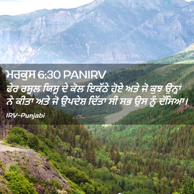 Picture 02 - ਮਰਕੁਸ 6:30 PANIRV - ਫੇਰ ਰਸੂਲ ਯਿਸੂ ਦੇ - Bible Verse Picture