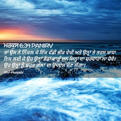 Picture 02 - ਮਰਕੁਸ 6:34 PANIRV - ਤਾਂ ਉਸ ਨੇ ਨਿੱਕਲ ਕੇ - Bible Verse Picture
