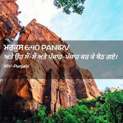 Picture 02 - ਮਰਕੁਸ 6:40 PANIRV - ਅਤੇ ਉਹ ਸੌ-ਸੌ ਅਤੇ - Bible Verse Picture