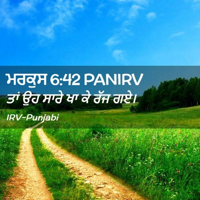 Picture 02 - ਮਰਕੁਸ 6:42 PANIRV - ਤਾਂ ਉਹ ਸਾਰੇ ਖਾ ਕੇ - Bible Verse Picture