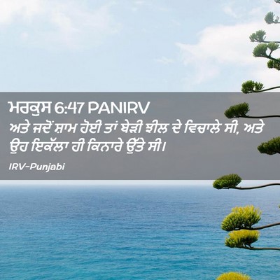 Picture 02 - ਮਰਕੁਸ 6:47 PANIRV - ਅਤੇ ਜਦੋਂ ਸ਼ਾਮ ਹੋਈ - Bible Verse Picture
