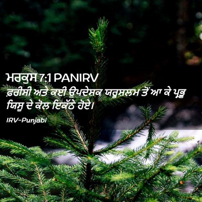 Picture 02 - ਮਰਕੁਸ 7:1 PANIRV - ਫ਼ਰੀਸੀ ਅਤੇ ਕਈ - Bible Verse Picture