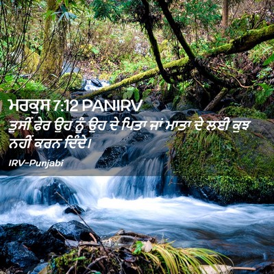 Picture 02 - ਮਰਕੁਸ 7:12 PANIRV - ਤੁਸੀਂ ਫੇਰ ਉਹ ਨੂੰ ਉਹ - Bible Verse Picture