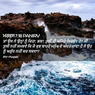 Picture 02 - ਮਰਕੁਸ 7:18 PANIRV - ਤਾਂ ਉਸ ਨੇ ਉਨ੍ਹਾਂ - Bible Verse Picture