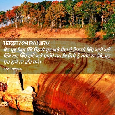 Picture 02 - ਮਰਕੁਸ 7:24 PANIRV - ਫੇਰ ਪ੍ਰਭੂ ਯਿਸੂ - Bible Verse Picture