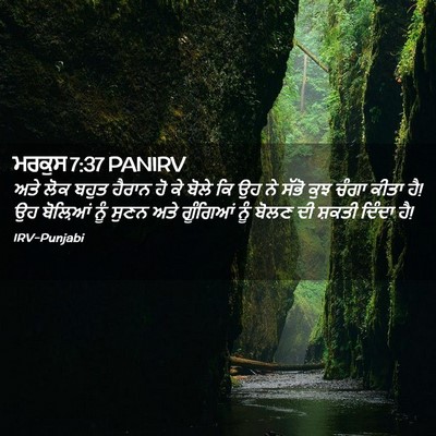 Picture 02 - ਮਰਕੁਸ 7:37 PANIRV - ਅਤੇ ਲੋਕ ਬਹੁਤ ਹੈਰਾਨ - Bible Verse Picture