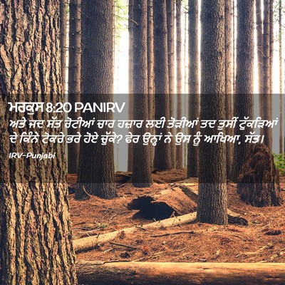Picture 02 - ਮਰਕੁਸ 8:20 PANIRV - ਅਤੇ ਜਦ ਸੱਤ ਰੋਟੀਆਂ - Bible Verse Picture