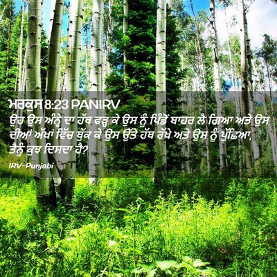 Picture 02 - ਮਰਕੁਸ 8:23 PANIRV - ਉਹ ਉਸ ਅੰਨ੍ਹੇ ਦਾ ਹੱਥ - Bible Verse Picture