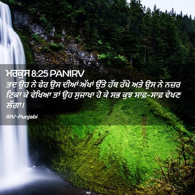 Picture 02 - ਮਰਕੁਸ 8:25 PANIRV - ਤਦ ਉਹ ਨੇ ਫੇਰ ਉਸ - Bible Verse Picture