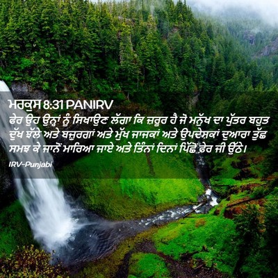 Picture 02 - ਮਰਕੁਸ 8:31 PANIRV - ਫੇਰ ਉਹ ਉਨ੍ਹਾਂ ਨੂੰ - Bible Verse Picture