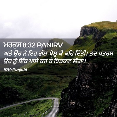 Picture 02 - ਮਰਕੁਸ 8:32 PANIRV - ਅਤੇ ਉਹ ਨੇ ਇਹ ਗੱਲ - Bible Verse Picture