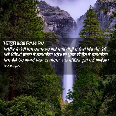 Picture 02 - ਮਰਕੁਸ 8:38 PANIRV - ਕਿਉਂਕਿ ਜੋ ਕੋਈ ਇਸ - Bible Verse Picture