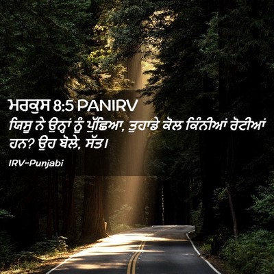 Picture 02 - ਮਰਕੁਸ 8:5 PANIRV - ਯਿਸੂ ਨੇ ਉਨ੍ਹਾਂ ਨੂੰ - Bible Verse Picture