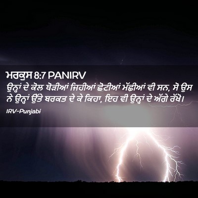 Picture 02 - ਮਰਕੁਸ 8:7 PANIRV - ਉਨ੍ਹਾਂ ਦੇ ਕੋਲ - Bible Verse Picture