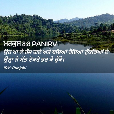 Picture 02 - ਮਰਕੁਸ 8:8 PANIRV - ਉਹ ਖਾ ਕੇ ਰੱਜ ਗਏ ਅਤੇ - Bible Verse Picture