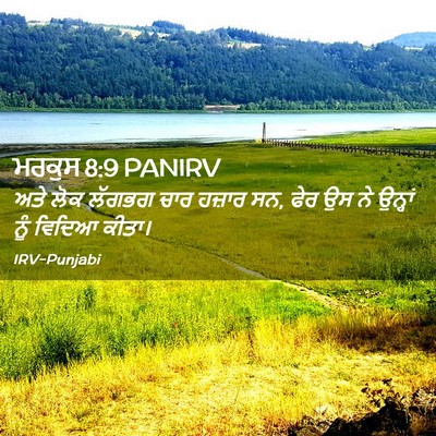 Picture 02 - ਮਰਕੁਸ 8:9 PANIRV - ਅਤੇ ਲੋਕ ਲੱਗਭਗ ਚਾਰ - Bible Verse Picture