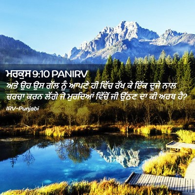 Picture 02 - ਮਰਕੁਸ 9:10 PANIRV - ਅਤੇ ਉਹ ਉਸ ਗੱਲ ਨੂੰ - Bible Verse Picture