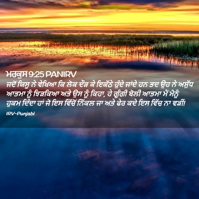 Picture 02 - ਮਰਕੁਸ 9:25 PANIRV - ਜਦੋਂ ਯਿਸੂ ਨੇ ਵੇਖਿਆ - Bible Verse Picture