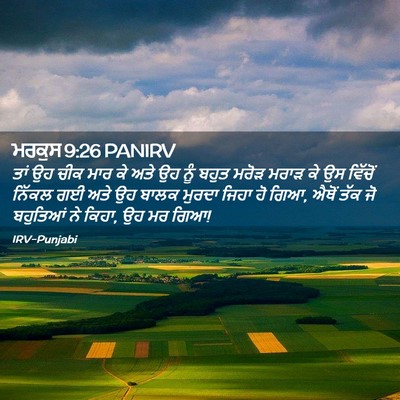 Picture 02 - ਮਰਕੁਸ 9:26 PANIRV - ਤਾਂ ਉਹ ਚੀਕ ਮਾਰ ਕੇ - Bible Verse Picture
