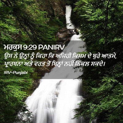 Picture 02 - ਮਰਕੁਸ 9:29 PANIRV - ਉਸ ਨੇ ਉਨ੍ਹਾਂ ਨੂੰ - Bible Verse Picture