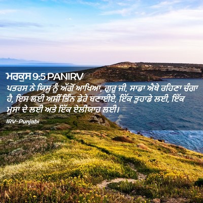Picture 02 - ਮਰਕੁਸ 9:5 PANIRV - ਪਤਰਸ ਨੇ ਯਿਸੂ ਨੂੰ - Bible Verse Picture