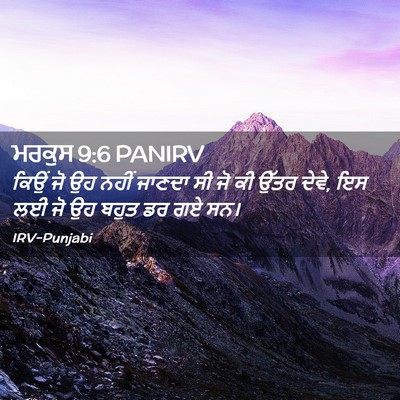 Picture 02 - ਮਰਕੁਸ 9:6 PANIRV - ਕਿਉਂ ਜੋ ਉਹ ਨਹੀਂ - Bible Verse Picture