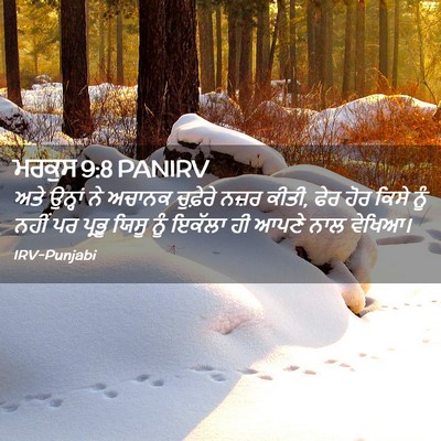 Picture 02 - ਮਰਕੁਸ 9:8 PANIRV - ਅਤੇ ਉਨ੍ਹਾਂ ਨੇ - Bible Verse Picture