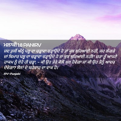 Picture 02 - ਮਲਾਕੀ 1:8 PANIRV - ਜਦ ਤੁਸੀਂ ਅੰਨ੍ਹੇ - Bible Verse Picture