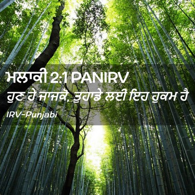 Picture 02 - ਮਲਾਕੀ 2:1 PANIRV - ਹੁਣ ਹੇ ਜਾਜਕੋ, - Bible Verse Picture